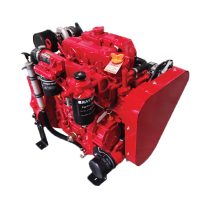 Raywin 4D24T Sprinkler engine